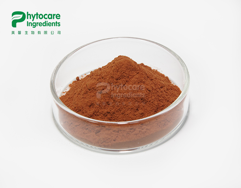 Best Grape Seed Extract Powder